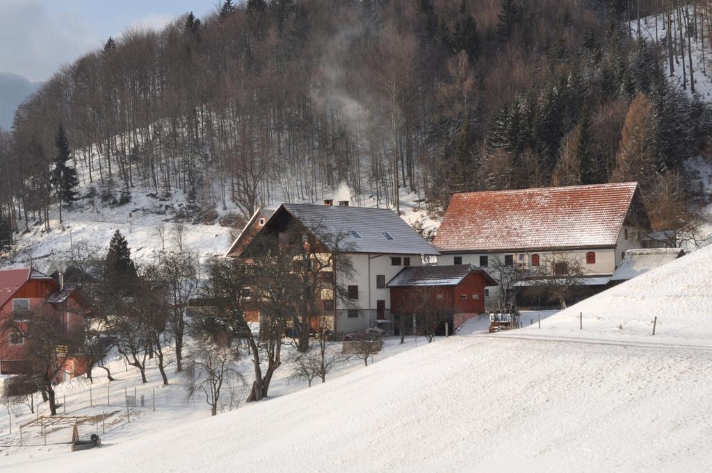Apartments Lovec Cerkno Cameră foto